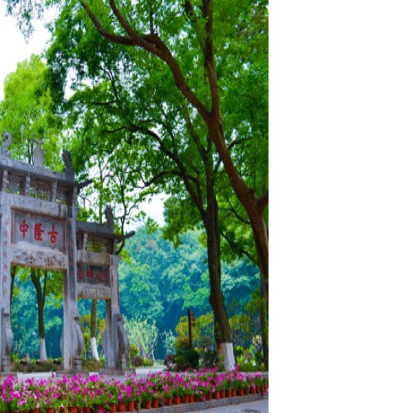 襄阳古隆中牌坊 - 图片5