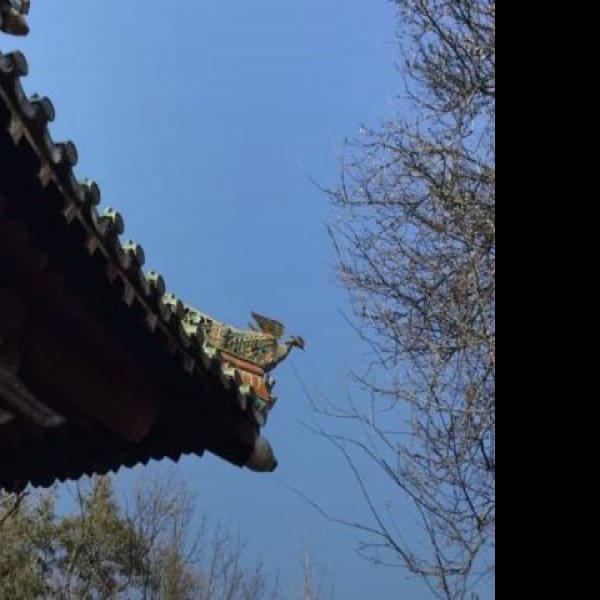 十堰武当山紫霄宫 - 图片7