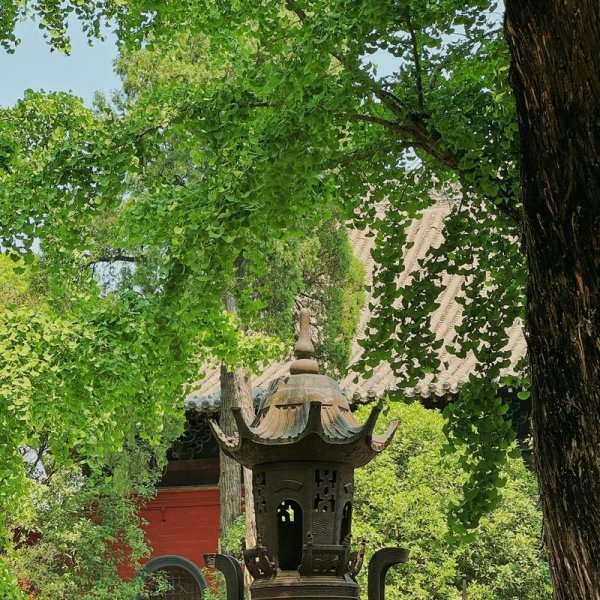 洛阳白马寺 - 图片10