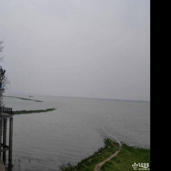 岳阳君山岛 - 图片10