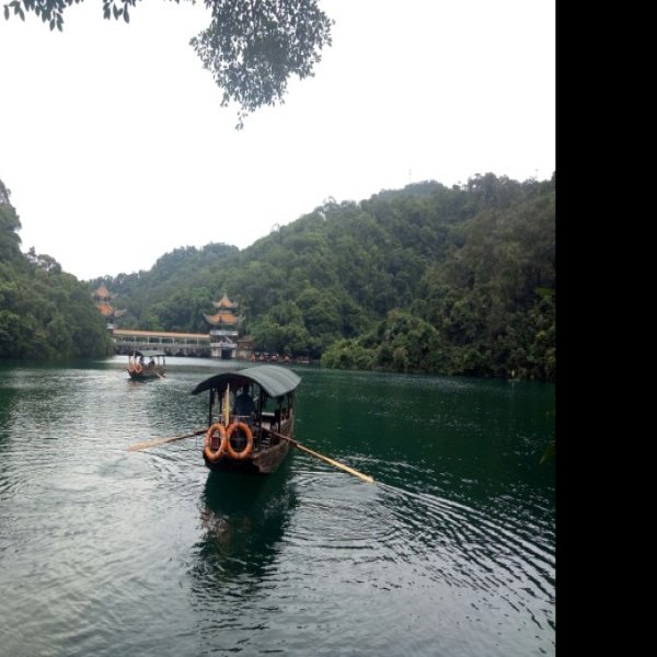肇庆鼎湖山 - 图片1