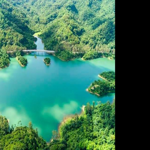 肇庆鼎湖山 - 图片5