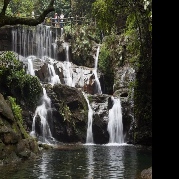 肇庆鼎湖山 - 图片7