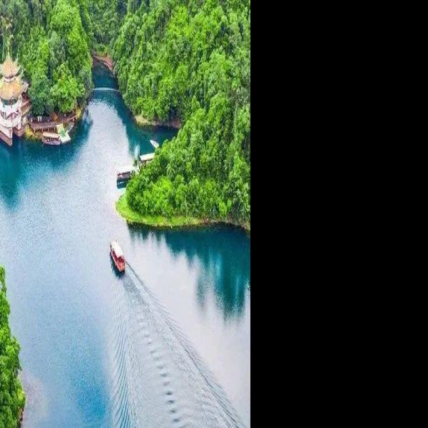 肇庆鼎湖山 - 图片8