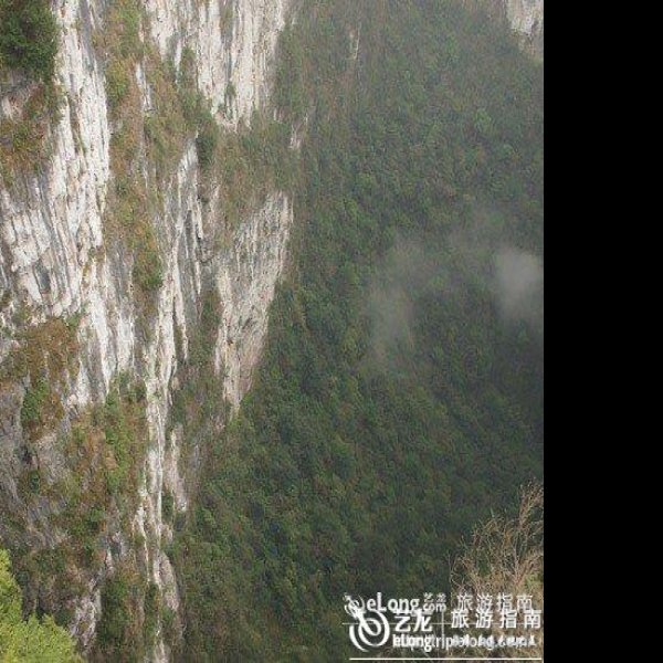 百色乐业大石围天坑 - 图片8