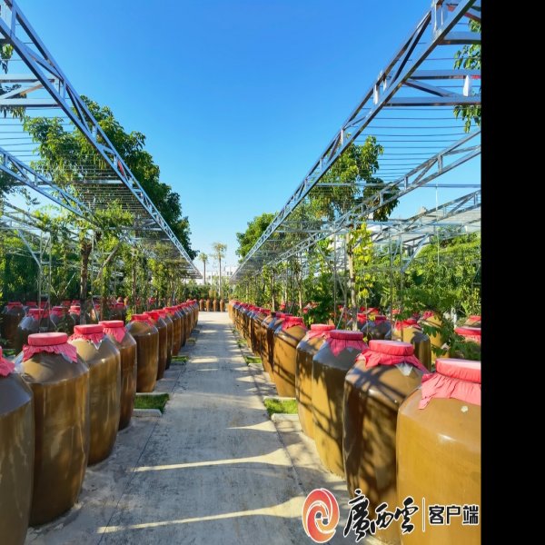 贵港桂平西山乳泉井 - 图片9