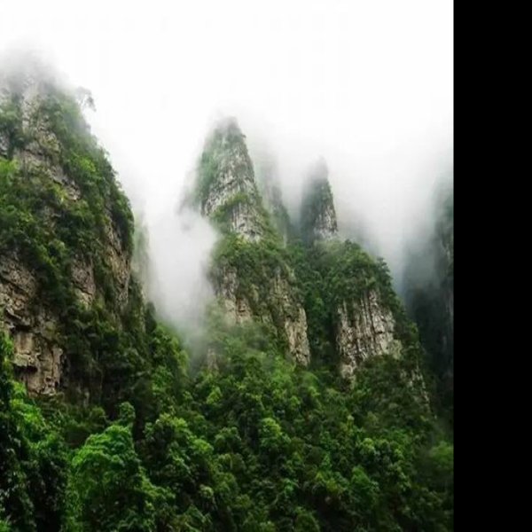 来宾金秀大瑶山 - 图片5