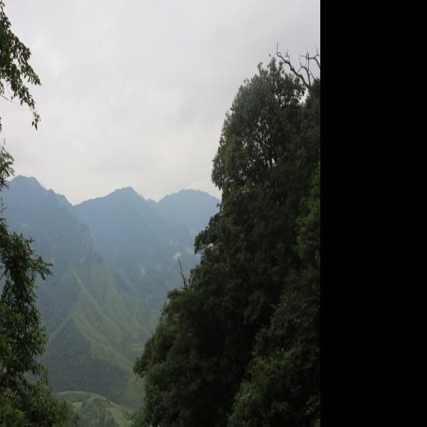 来宾金秀大瑶山 - 图片8