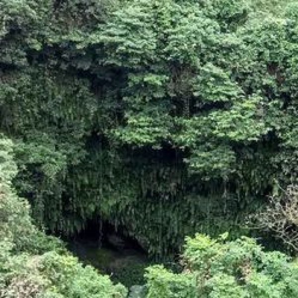 海口火山口国家地质公园 - 图片5