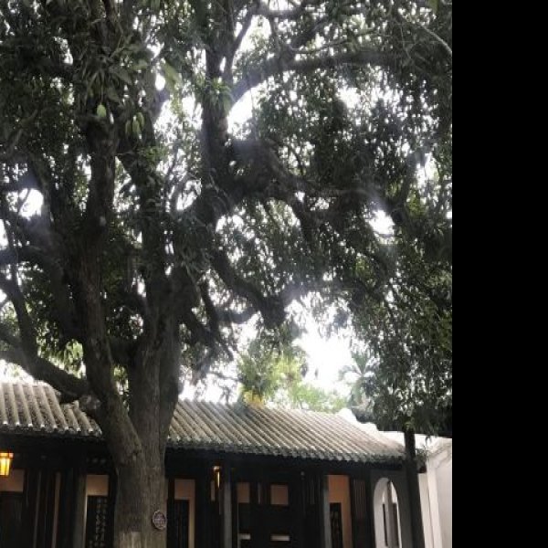 儋州中和古镇东坡书院 - 图片10
