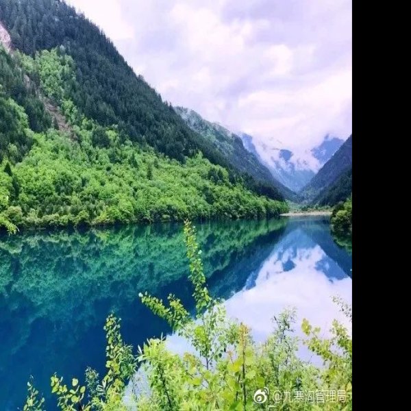 九寨沟五花海 - 图片8