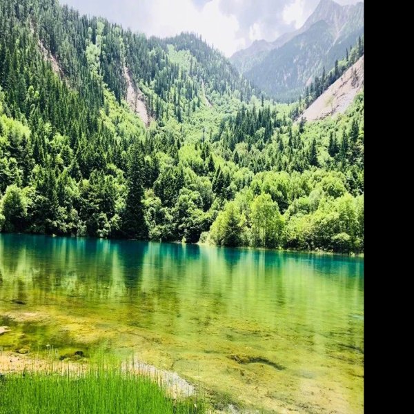 九寨沟五花海 - 图片9