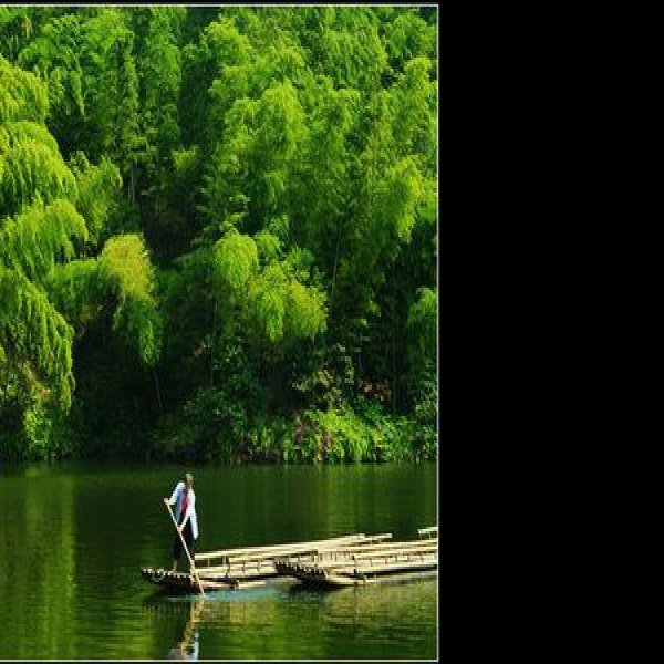 宜宾蜀南竹海翡翠长廊 - 图片10