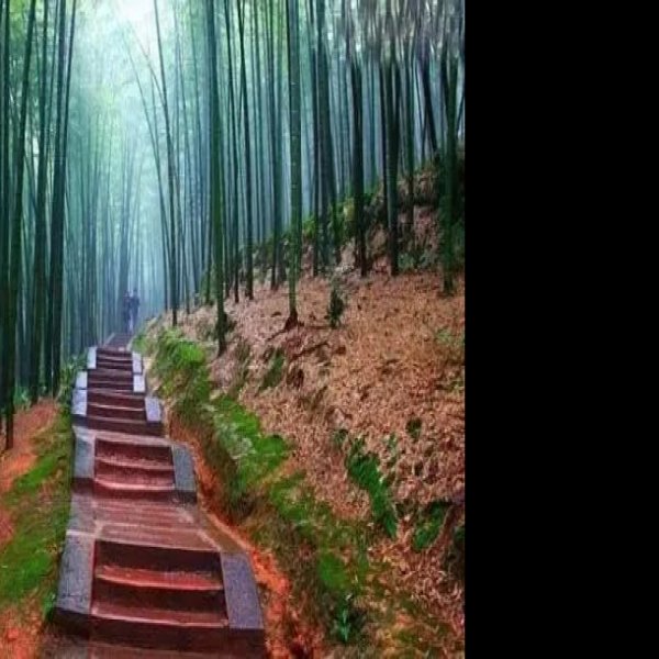 宜宾蜀南竹海翡翠长廊 - 图片3