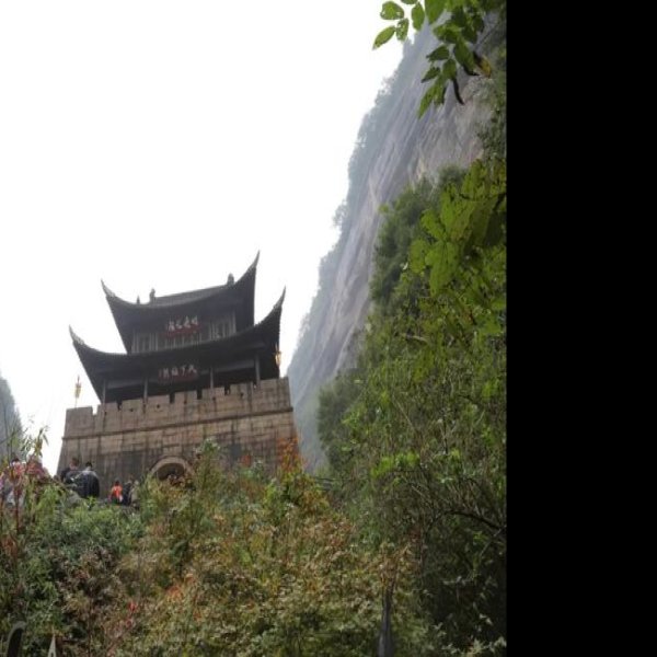 广元剑门关鸟道 - 图片9