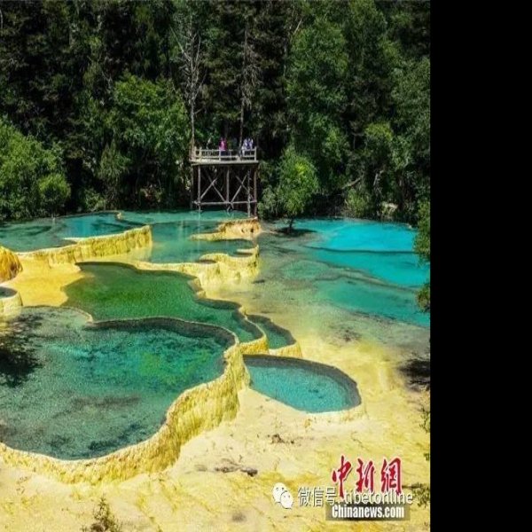 阿坝黄龙五彩池 - 图片2