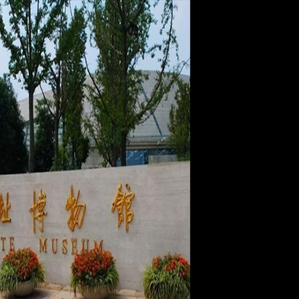 成都金沙遗址博物馆 - 图片1