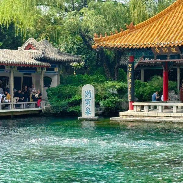 济南趵突泉 - 图片7