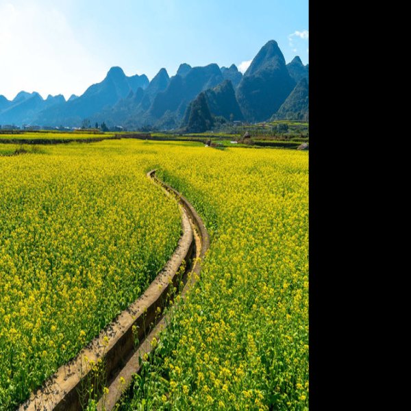 黔西南万峰林八卦田 - 图片1