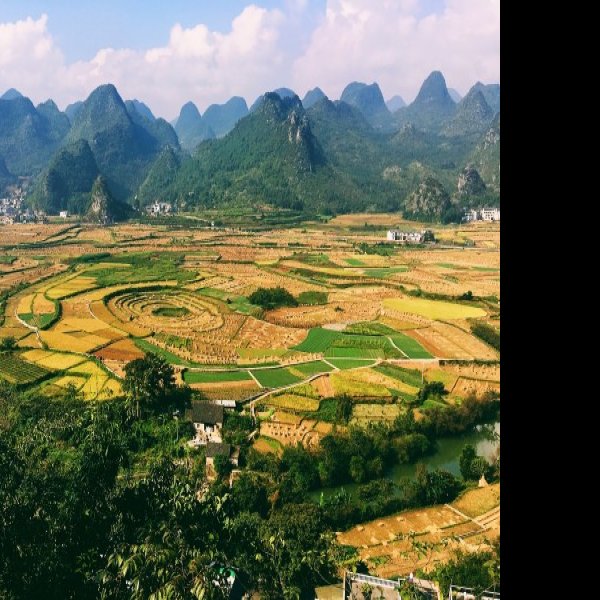 黔西南万峰林八卦田 - 图片6