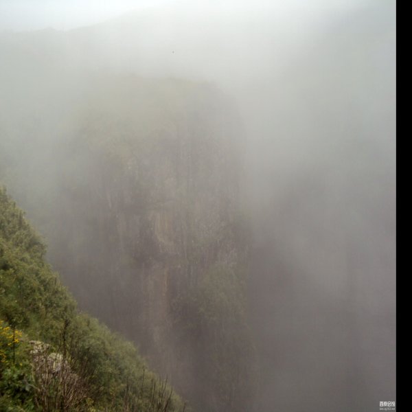 昭通大山包鸡公山 - 图片5
