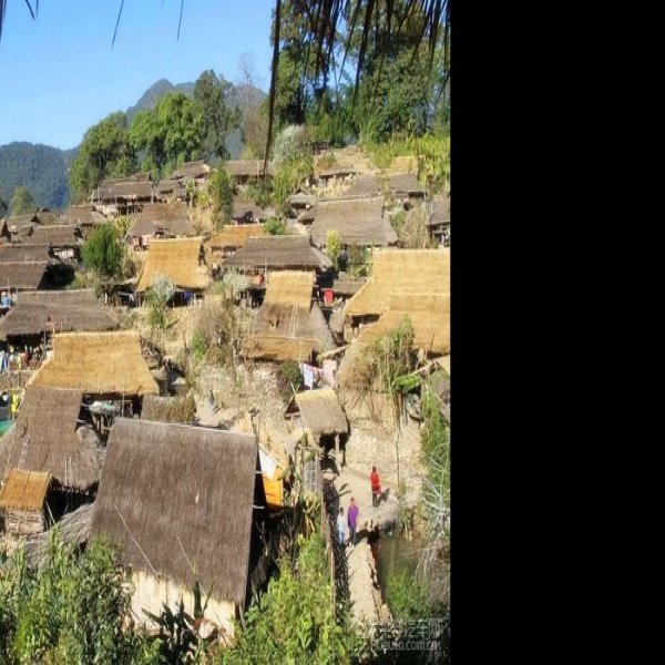 临沧沧源翁丁原始部落茅草房 - 图片5