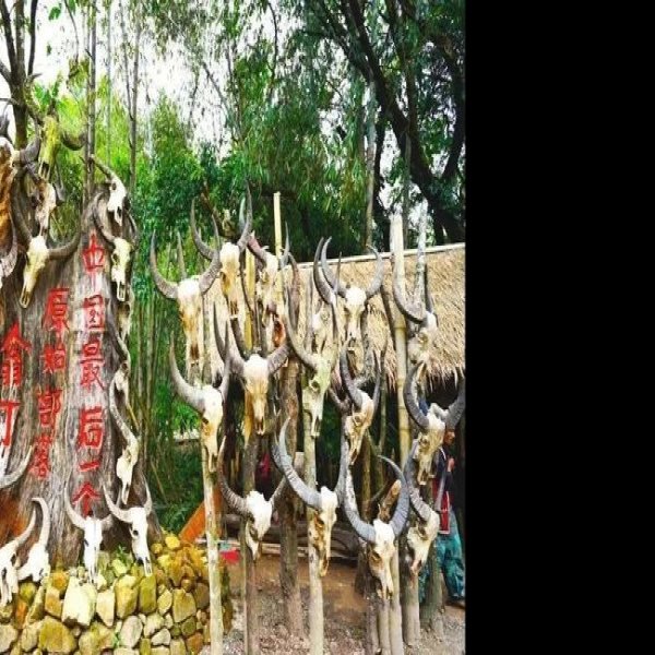 临沧沧源翁丁原始部落茅草房 - 图片7