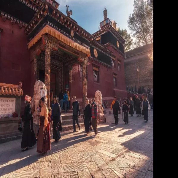 拉萨罗布林卡西印经院 - 图片10