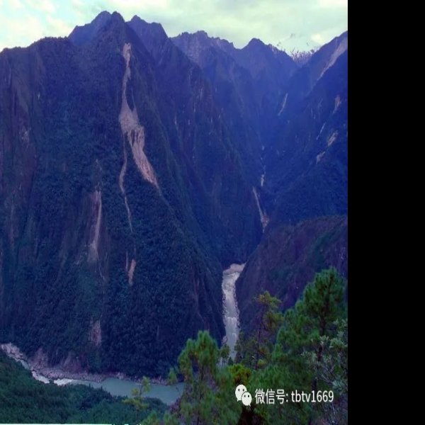 林芝雅鲁藏布大峡谷拐弯 - 图片4