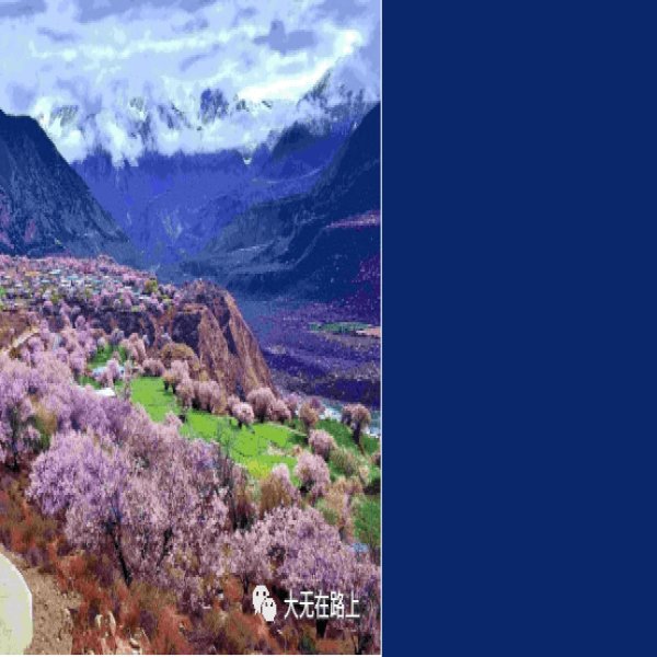 林芝波密桃花沟 - 图片3