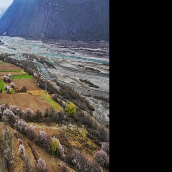 林芝波密桃花沟 - 图片6