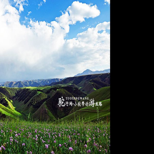 张掖康乐草原 - 图片2