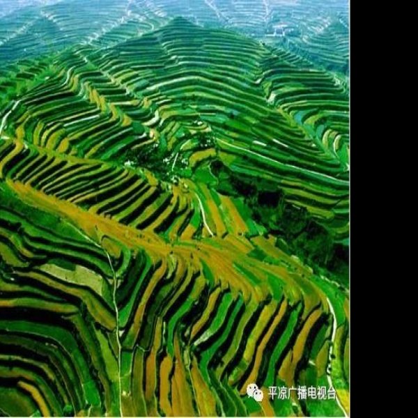 平凉庄浪梯田 - 图片8