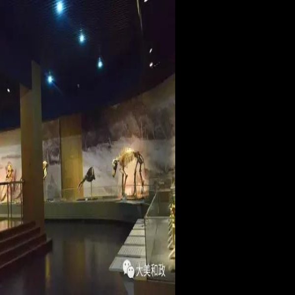 临夏和政古动物化石博物馆 - 图片3