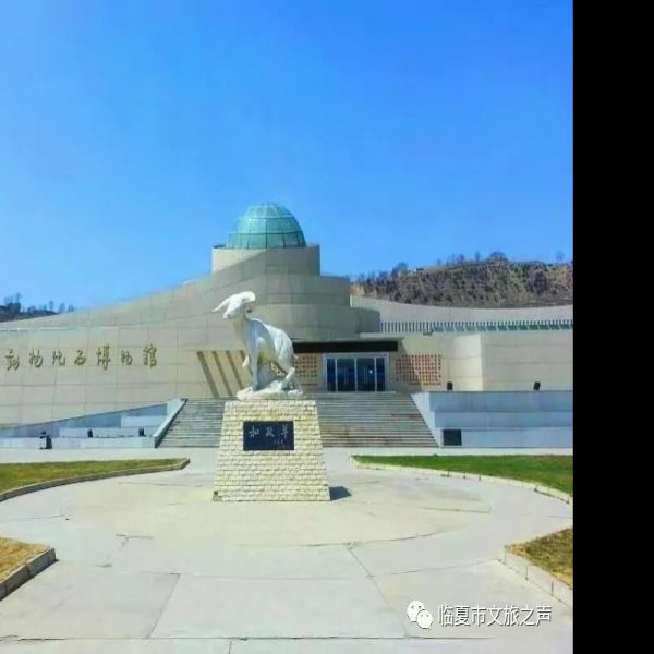 临夏和政古动物化石博物馆 - 图片8