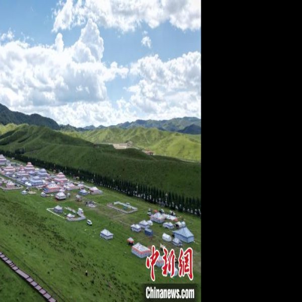 甘南合作当周草原 - 图片1