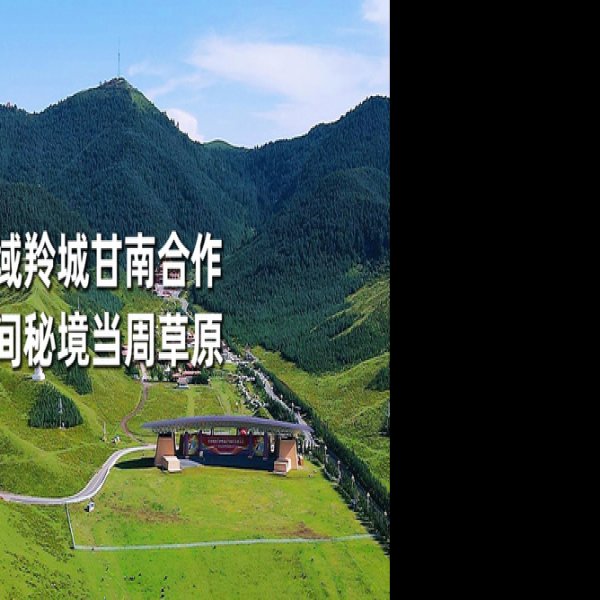 甘南合作当周草原 - 图片3