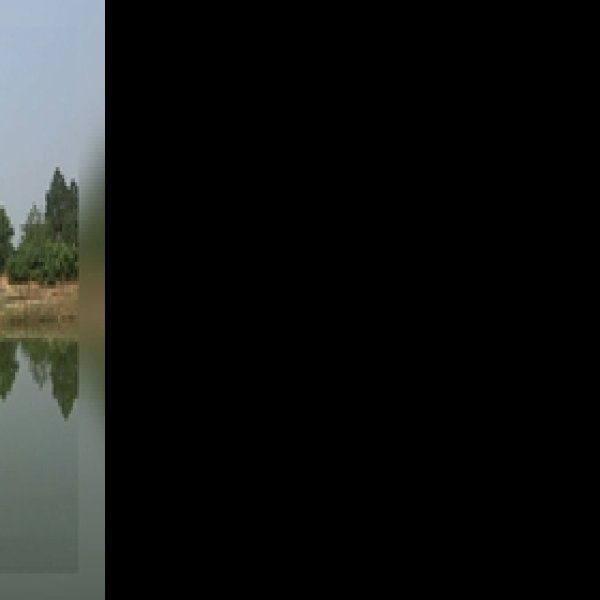 黄南坎布拉小瑶池 - 图片2