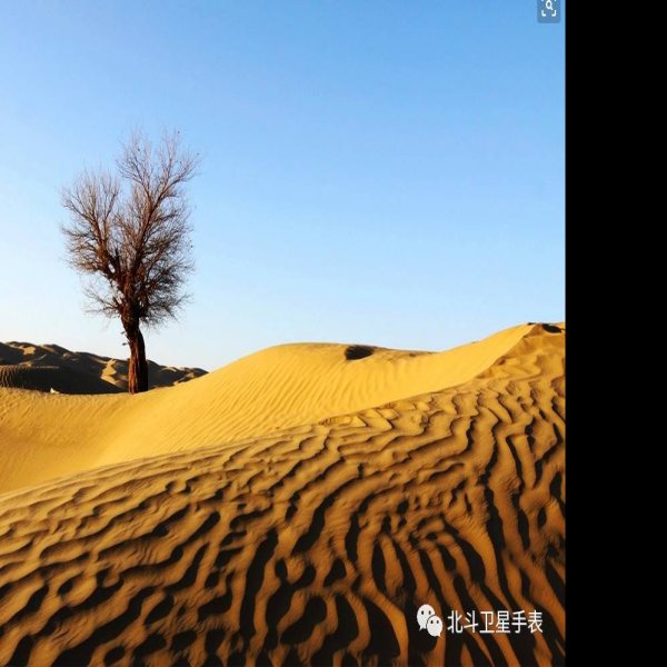 巴音郭楞罗布人村寨塔克拉玛干沙漠 - 图片4