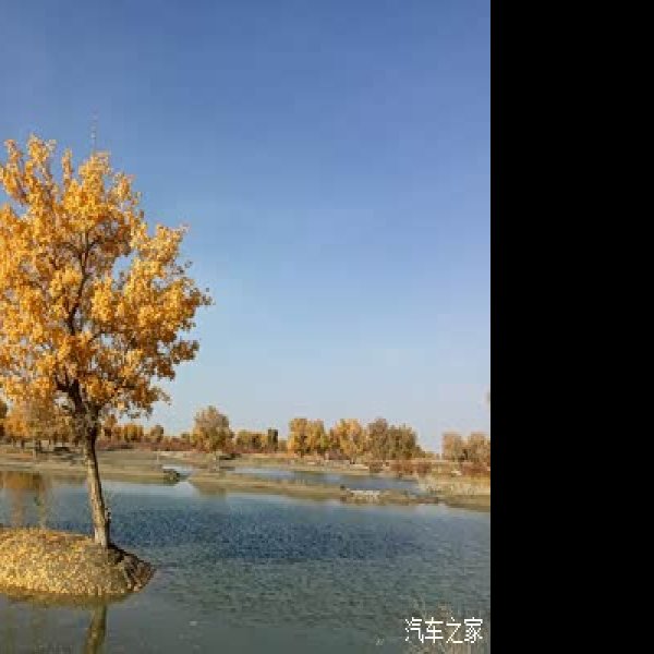 库尔勒罗布人村寨胡杨林 - 图片1