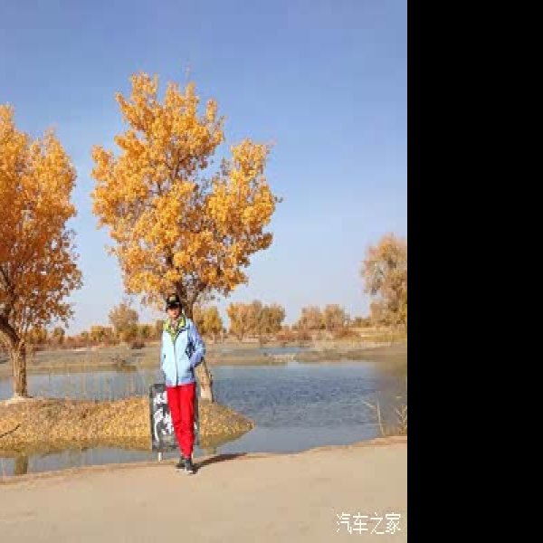 库尔勒罗布人村寨胡杨林 - 图片3