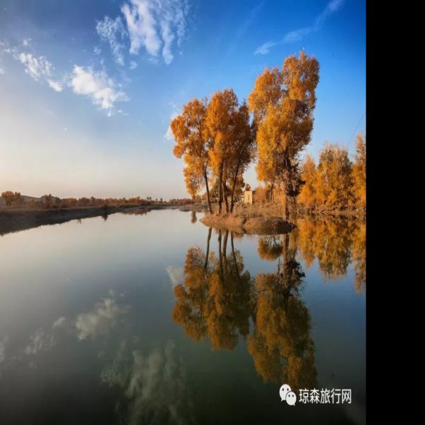 库尔勒罗布人村寨胡杨林 - 图片8