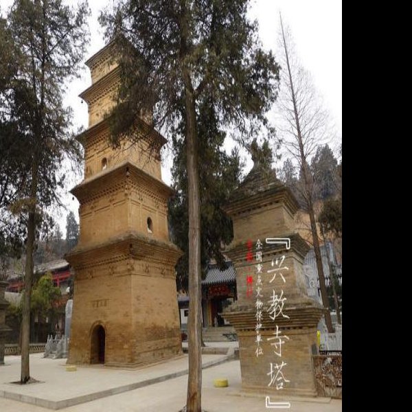 兴教寺塔 - 图片3