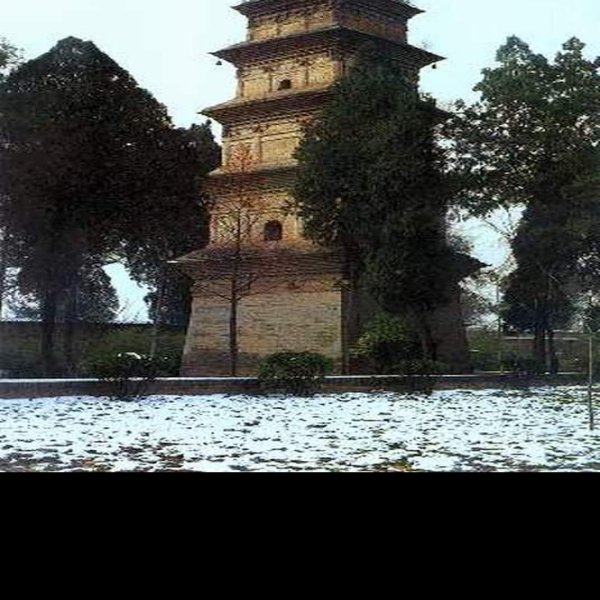 兴教寺塔 - 图片6