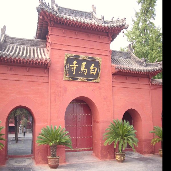 白马寺 - 图片5