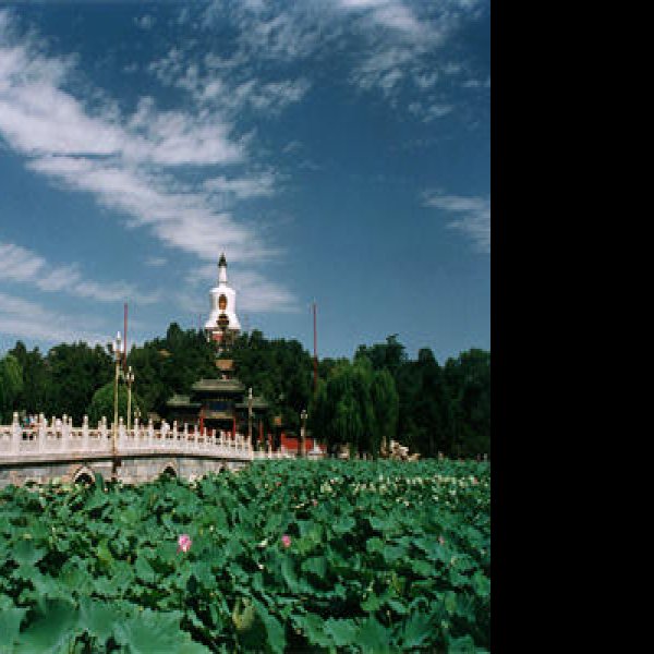 北海及团城 - 图片10