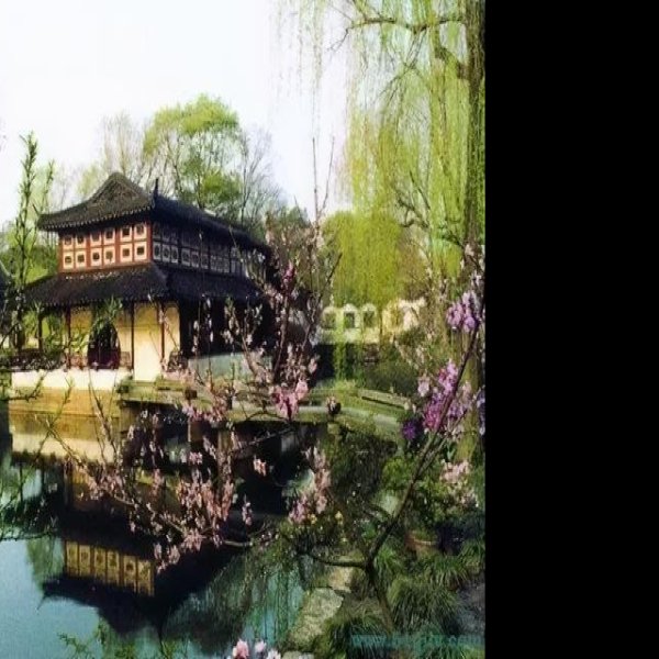 拙政园 - 图片6
