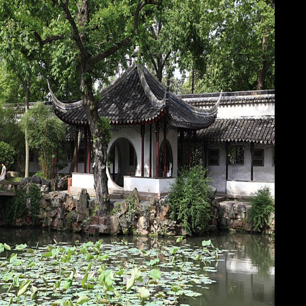 拙政园 - 图片7