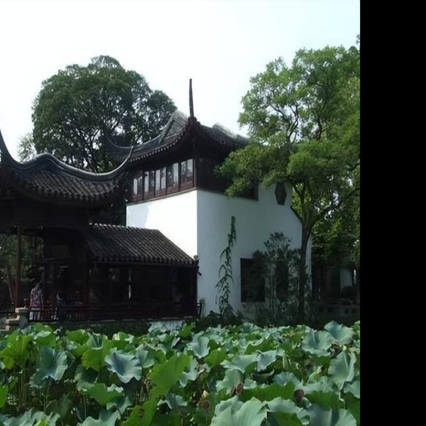 拙政园 - 图片8