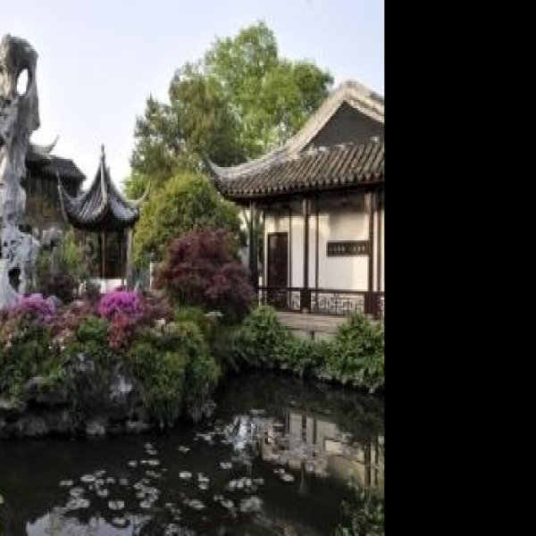 留园 - 图片10